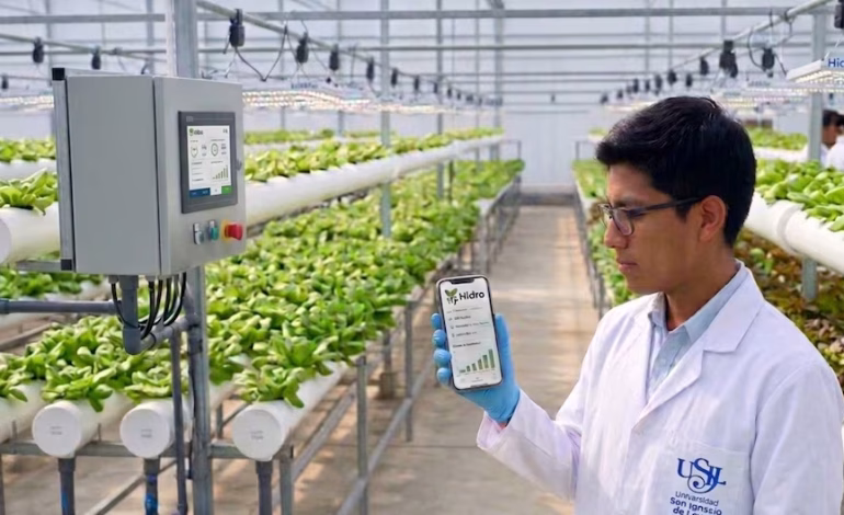 Peruanos ganan primer lugar en concurso de Harvard con aplicación hidropónica

 – El diario andino